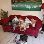 Hotel Erlebnis-hotel-appartements 4*