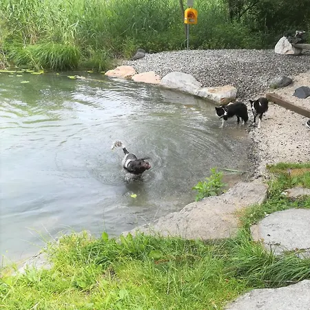 Hotel Erlebnis-hotel-appartements 4*