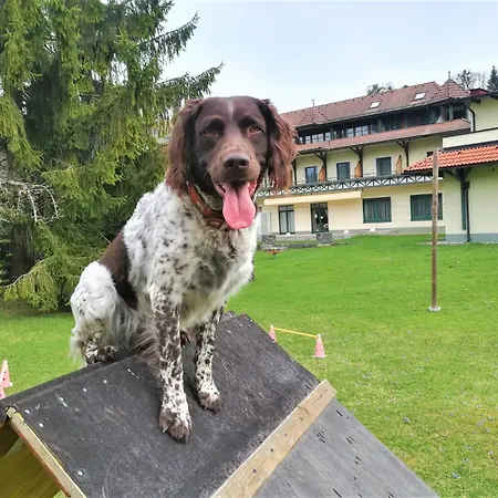 Erlebnis-hotel-appartements Hotel 4*