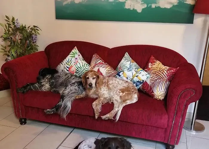 Hotel Erlebnis-hotel-appartements 4*