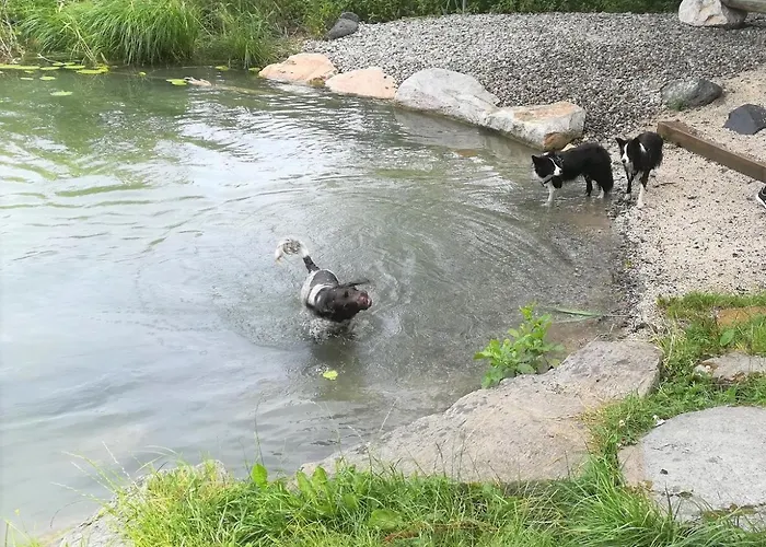 Hotel Erlebnis-hotel-appartements 4*