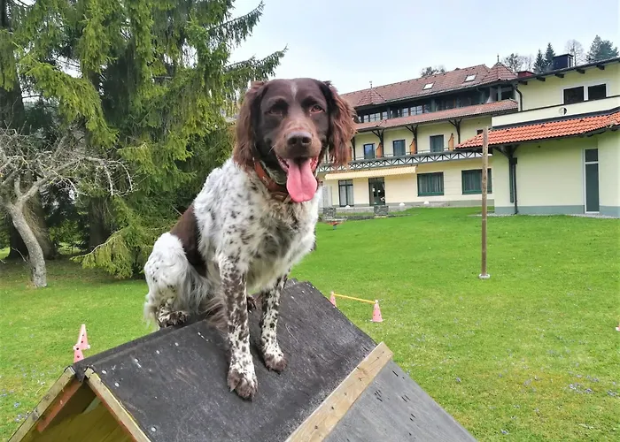 Erlebnis-hotel-appartements Hotel 4*